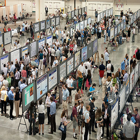 Cheapest Paper & Fabric Conference Research Poster in Toronto - Pickup near MTCC