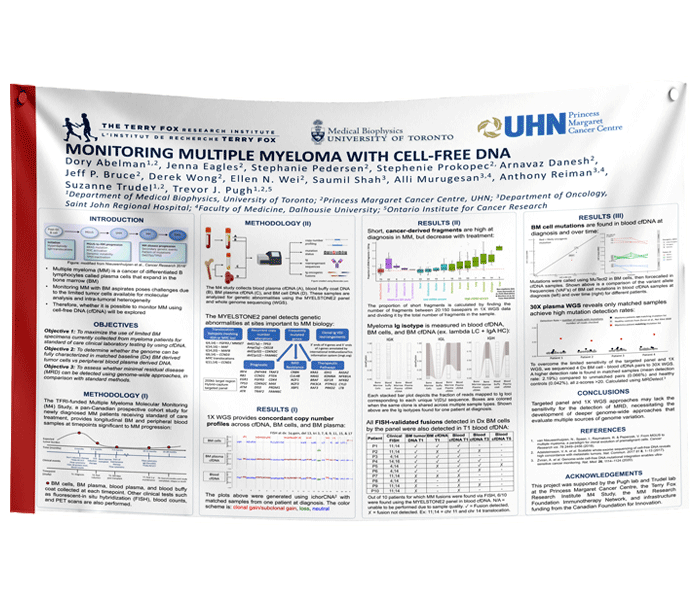 cheapest 48x72 Paper & Fabric Conference Research Poster in Downtown Toronto - Pickup near MTCC